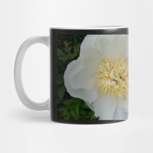 Precious White Peony Mug